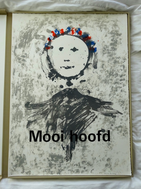 Mooi Hoofd kopen? Bied vanaf 260!