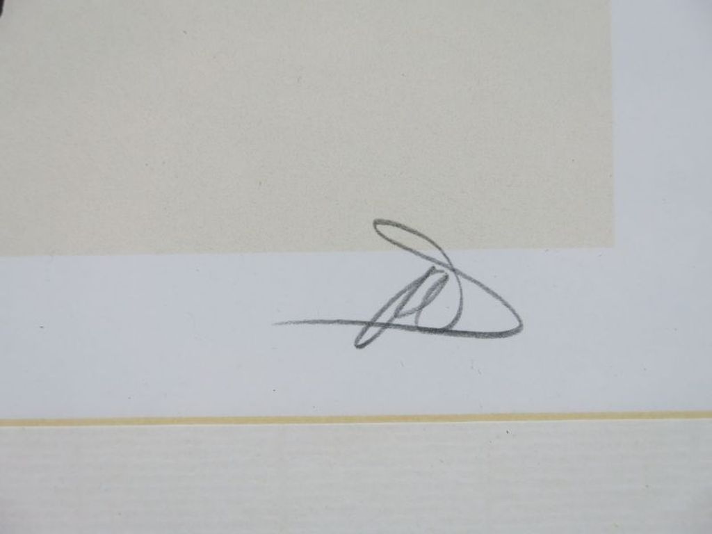 Natacha Pirnay: Litho, Diabolik 6 - Ingelijst kopen? Bied vanaf 40!