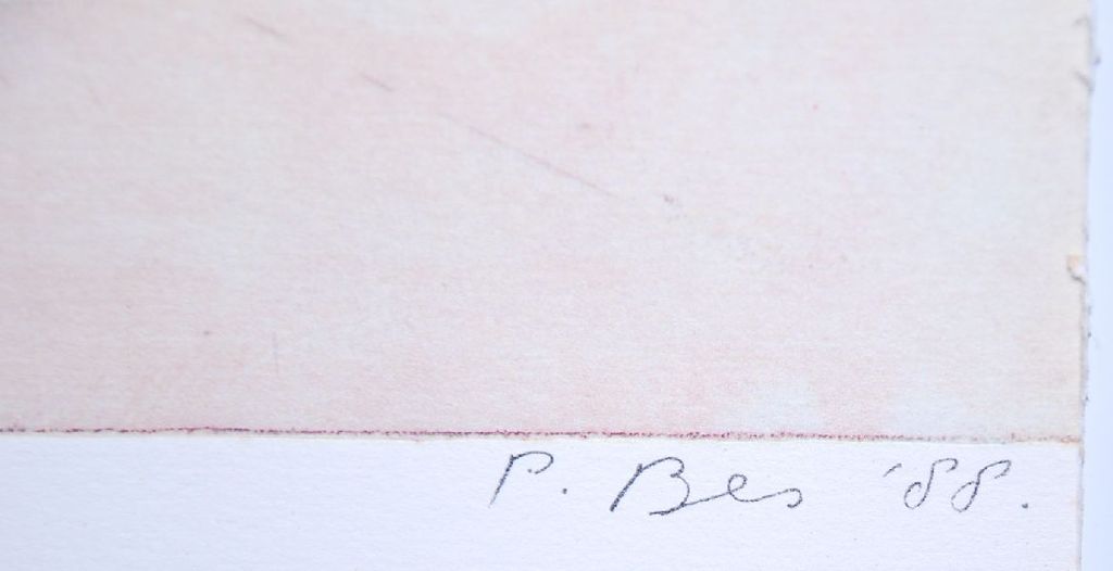 Peter Bes: Kleurenets (vernis mou). Downtown uit 1988 kopen? Bied vanaf 50!