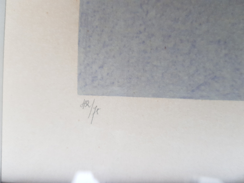 Roger Wittevrogel (1933) - litho 42/75, gesigneerd (ingelijst) kopen? Bied vanaf 1!