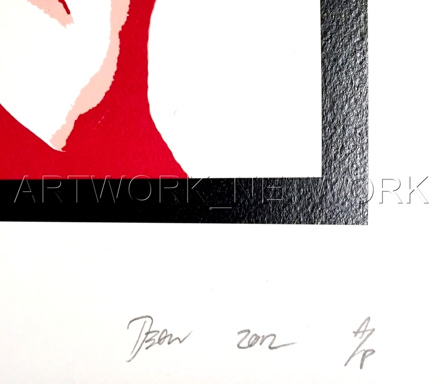 DEATH NYC - "Snow Bomb R"- n° A/P - Signed with COA (Edition Artist Proof) kopen? Bied vanaf 1!