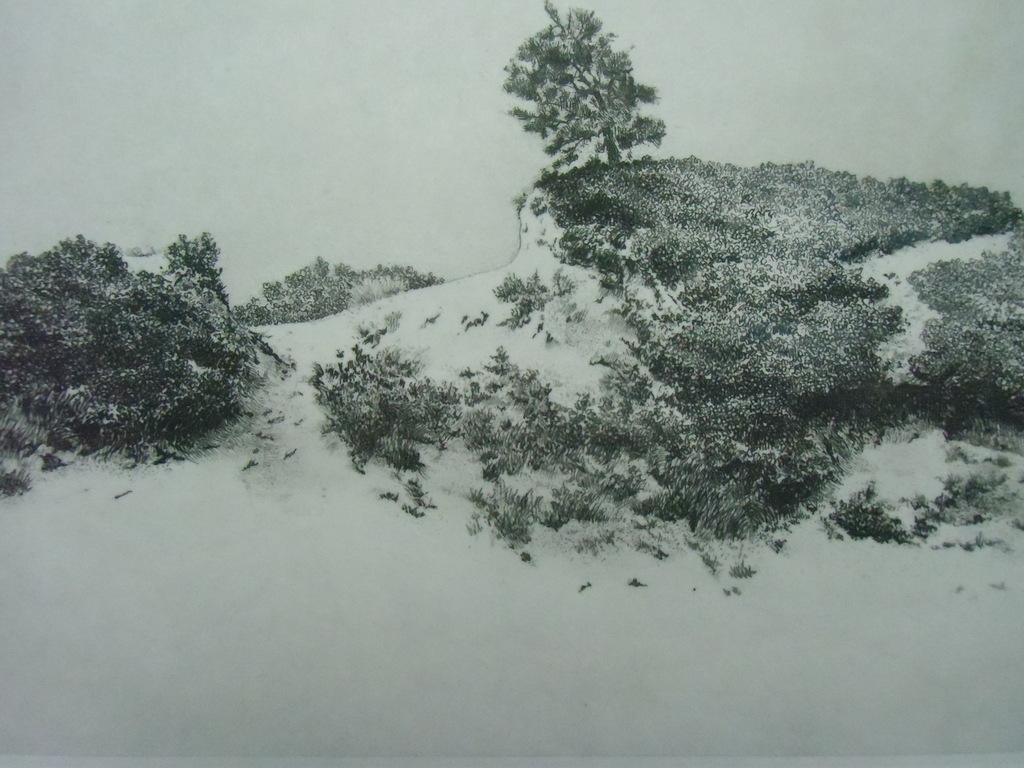 ZANDVERSTUIVING BIJ SOESTDUINEN // ETS VAN DIRK HARTING kopen? Bied vanaf 40!