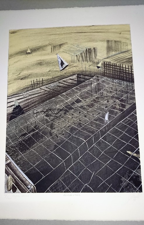 Wim Jonkman,Litho,Hindernis kopen? Bied vanaf 30!