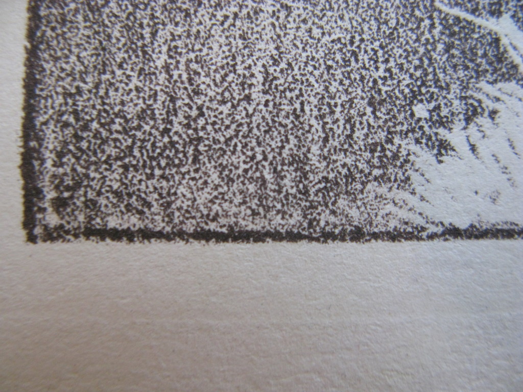 Willem Wassenaar, Ets?, Litho? besneeuwd bos, gesigneerd. kopen? Bied vanaf 1!