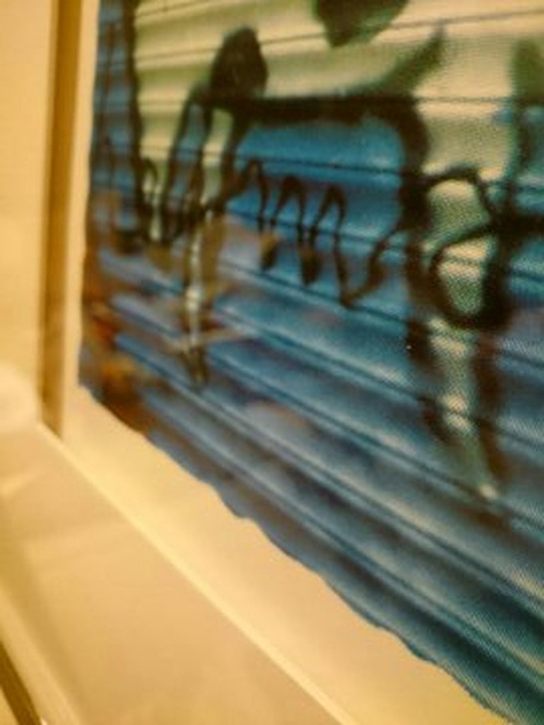 Paard,zeefdruk  kopen? Bied vanaf 249!