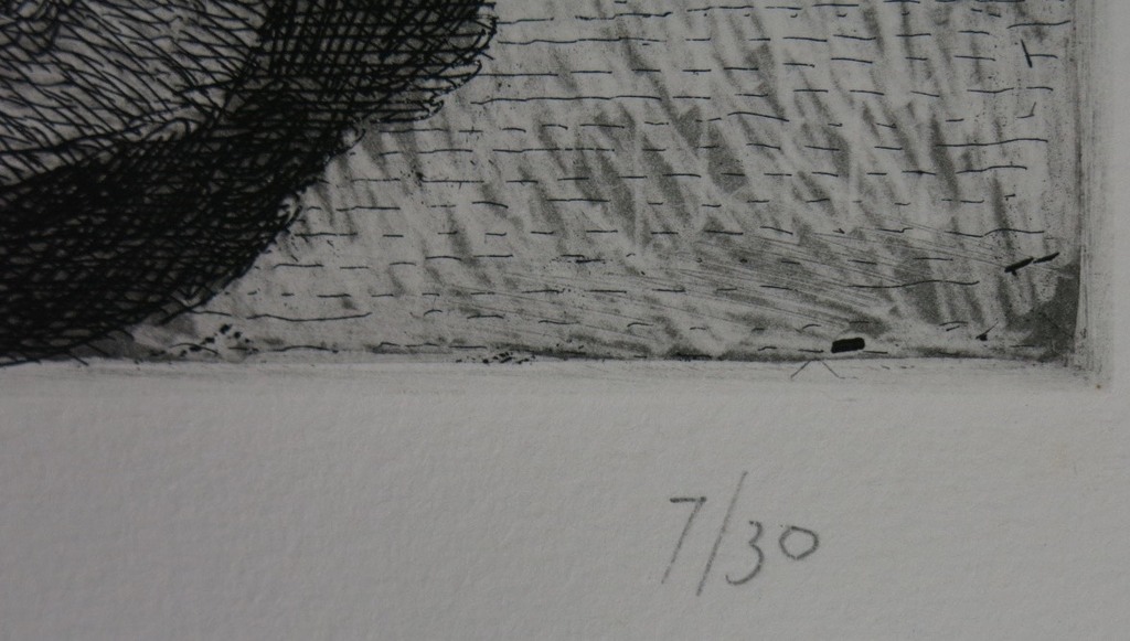 Theo Kurpershoek: Ets, Kersen en pioenen kopen? Bied vanaf 30!