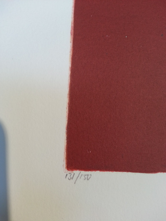 Ron van der Werf, zeefdruk, titel "Assemble I" kopen? Bied vanaf 25!