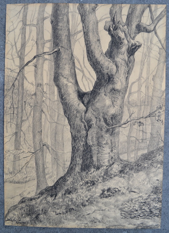 Prachtige potlood tekening van bos. verkocht voor € 35!