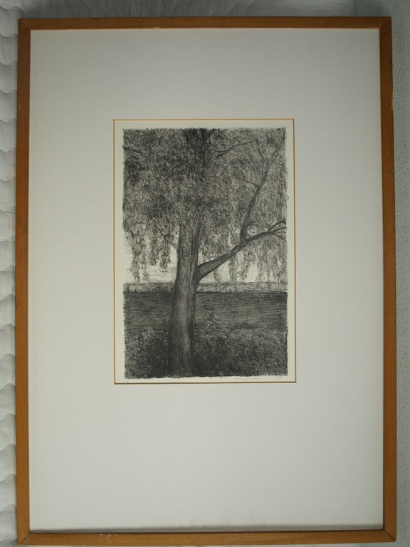 Eileen van der Schaaf – Litho – Boom – Gesigneerd - 1973 - Ingelijst 63 x 88 cm kopen? Bied vanaf 1!