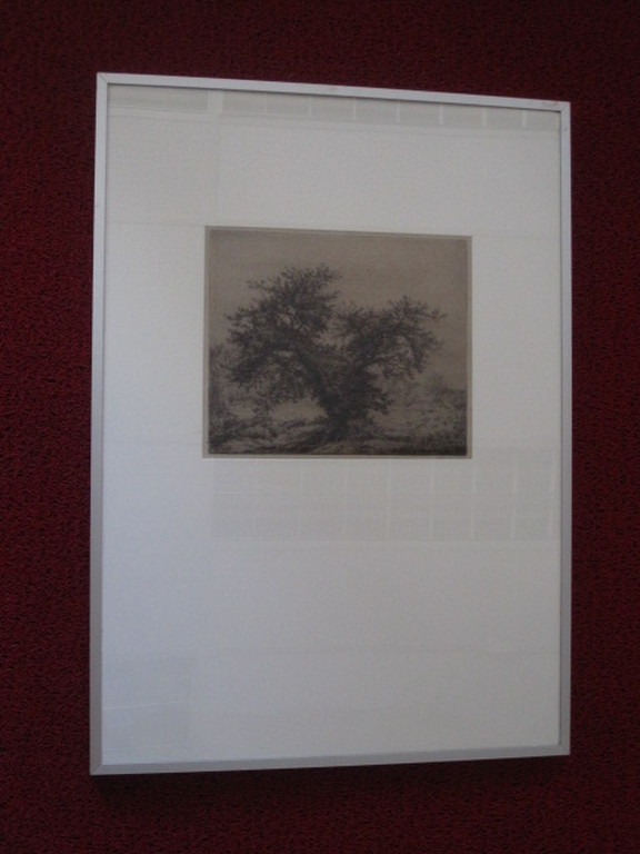 Originele J.C. Nachenius Ets "Duinlandschap met divi-divi boom" gesigneerd  kopen? Bied vanaf 1!