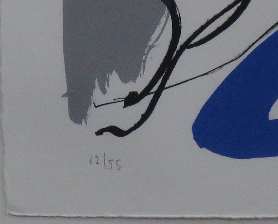 Rinke Nijburg: Litho, Ontmoeting kopen? Bied vanaf 1!