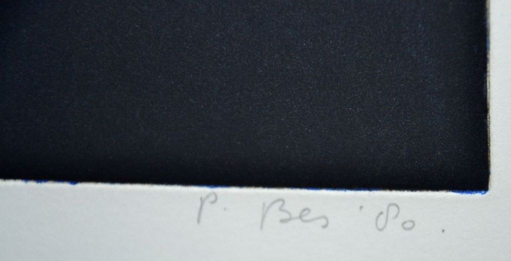 Peter Bes: Grote kleurenets 'Wandelen in de nacht' kopen? Bied vanaf 70!