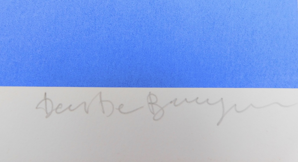 Dees de Bruyne - kleurenlitho - Femme Bleu kopen? Bied vanaf 85!