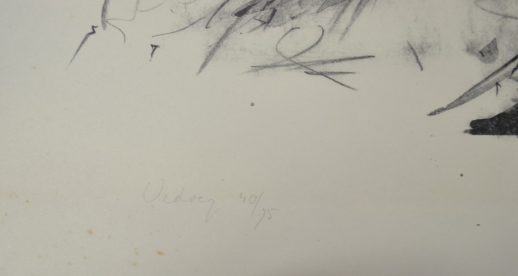 Kuik, litho, vidocq kopen? Bied vanaf 50!