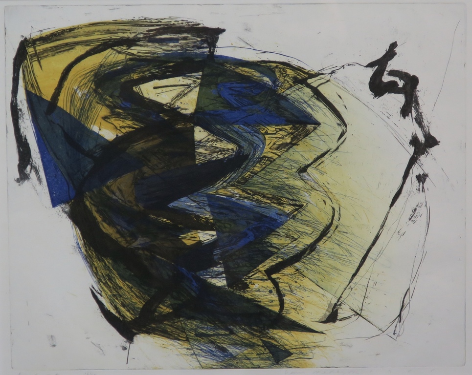 Hans Vredegoor: Kleurenets, Break Out -Ingelijst kopen? Bied vanaf 35!