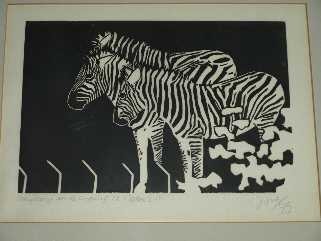 Irene Wolfferts – Zeefdruk – Aanpassing aan de omgeving Zebra’s IV - Gesigneerd – 1979 - Ingelijst 62 x 44 cm kopen? Bied vanaf 45!