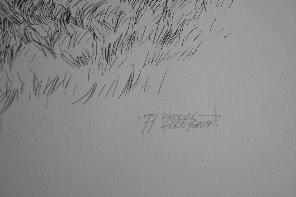 Patrick Creyghton  1977 'Boomgaard' kopen? Bied vanaf 95!