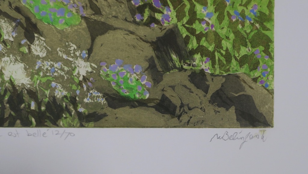 Willy Belinfante: Ets, La montagne est belle kopen? Bied vanaf 30!