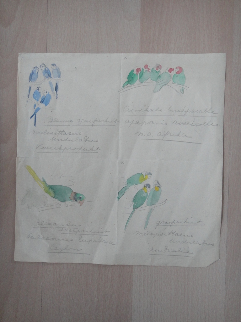 Tini van Doornik (1906-1980), aquarel, 4 schetsen van vogels kopen? Bied vanaf 1!