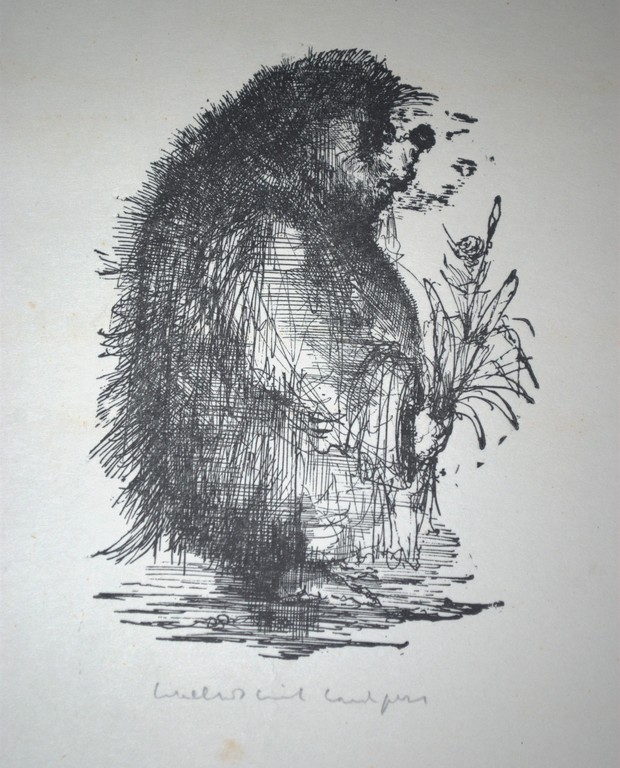  -  Egel  -  gesigneerde handpers druk verkocht voor € 50!