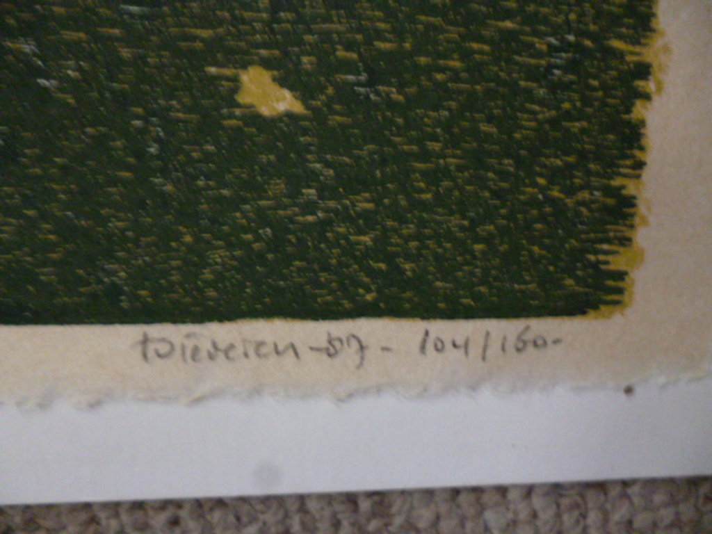Jef Diederen - kleurenhoutsnede - Lune de Province kopen? Bied vanaf 45!