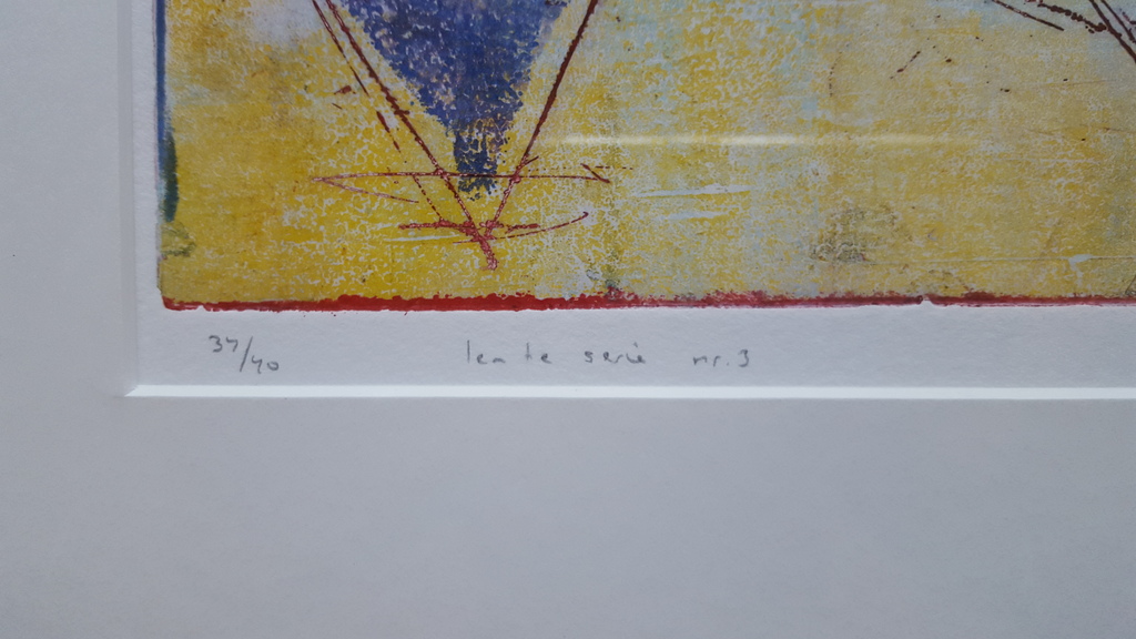 Lia van Leeuwen - kleurenets 34/40, handgesigneerd (ingelijst)  kopen? Bied vanaf 1!