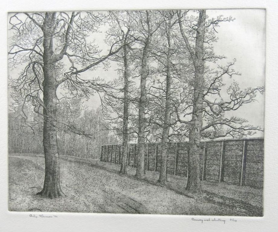 Philip Wiesman, ets: Bosweg met schutting kopen? Bied vanaf 1!