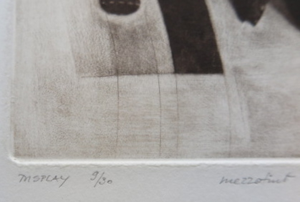 Rob Figee (1937) - “Vogelspin” - 1981 - handgesigneerde koperets in passepartout kopen? Bied vanaf 1!