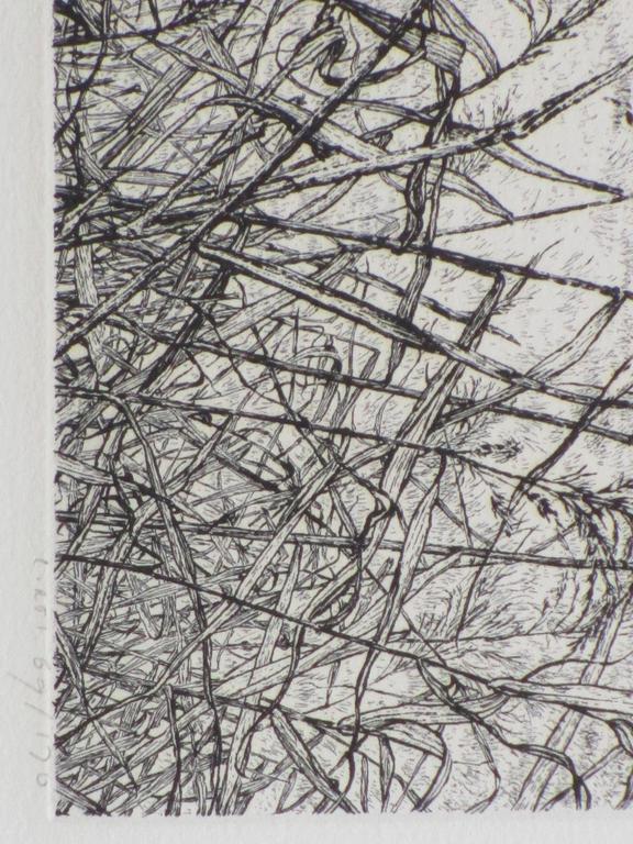 Reinder Homan, Landschap met riet in polder, Ets kopen? Bied vanaf 80!