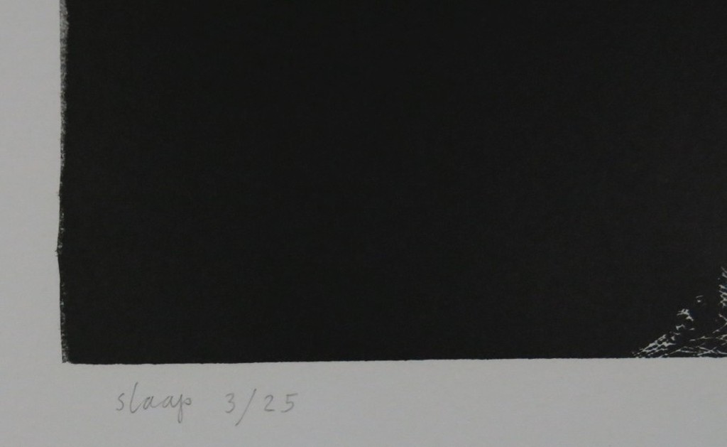 Manuel Kurpershoek: Lino, Slaap  kopen? Bied vanaf 20!