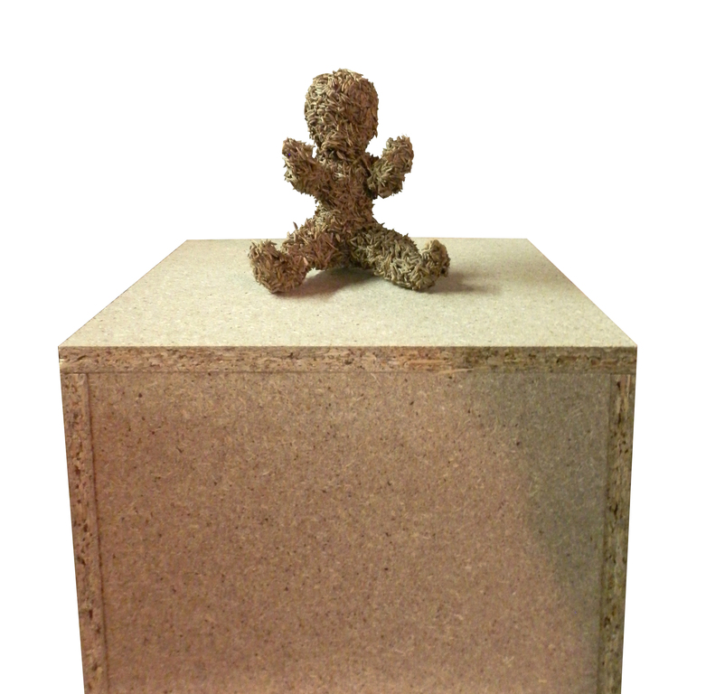 Richard Thomas, Natuurkind, 1995 verkocht voor € 80!