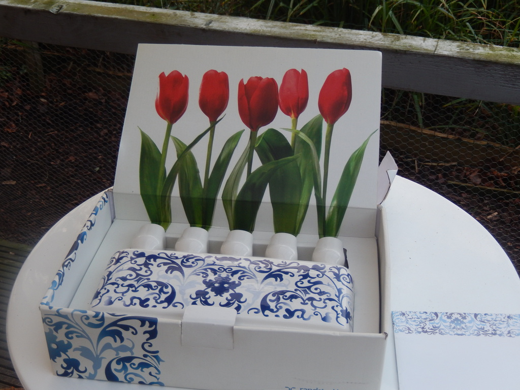 Marcel Wanders - Tulpenvaas kopen? Bied vanaf 65!