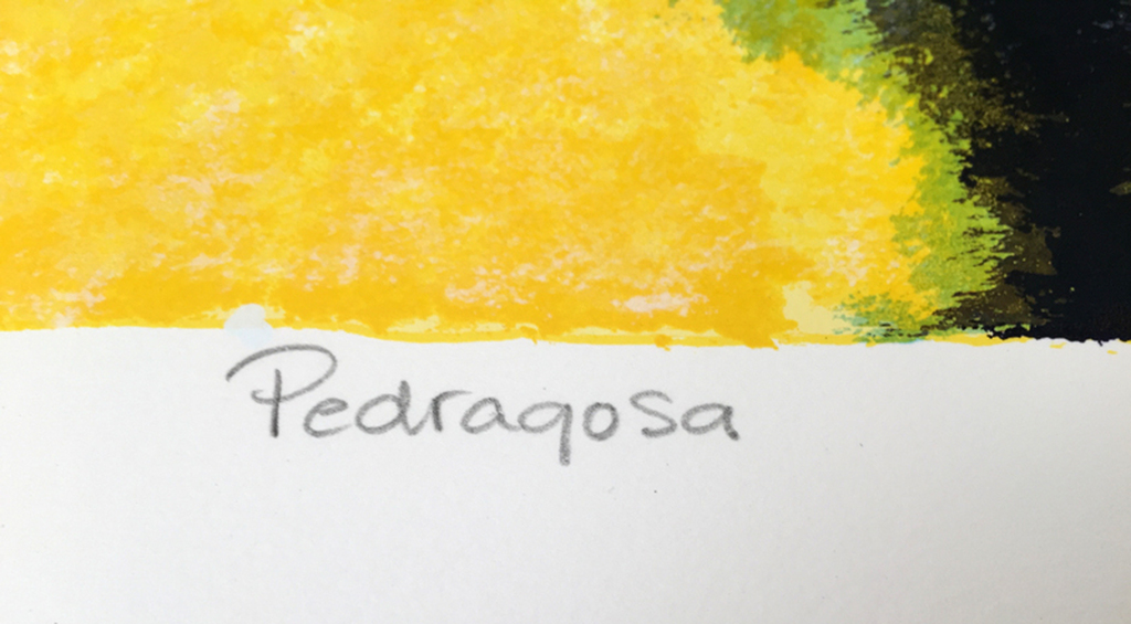 Saskia Bremer - Pedragosa - gesigneerde zeefdruk - E/A ex. - 2004 kopen? Bied vanaf 45!