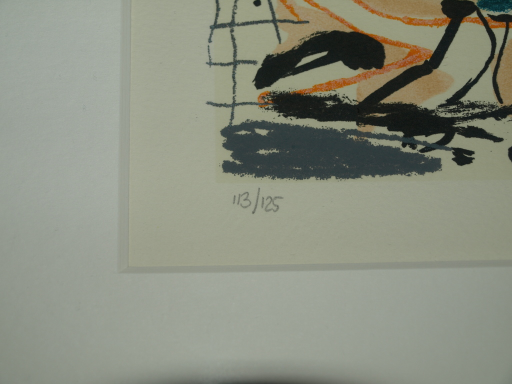 Kees Salentijn : Zeefdruk – Cobra-stijl – Gesigneerd en ingelijst – ca 1995 kopen? Bied vanaf 1!