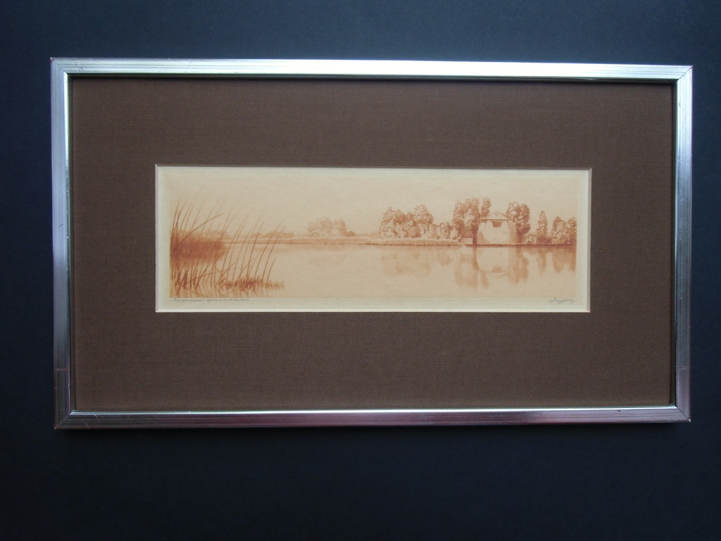 KAGERMEER   ///   ETS VAN DIRK HARTING verkocht voor € 35!