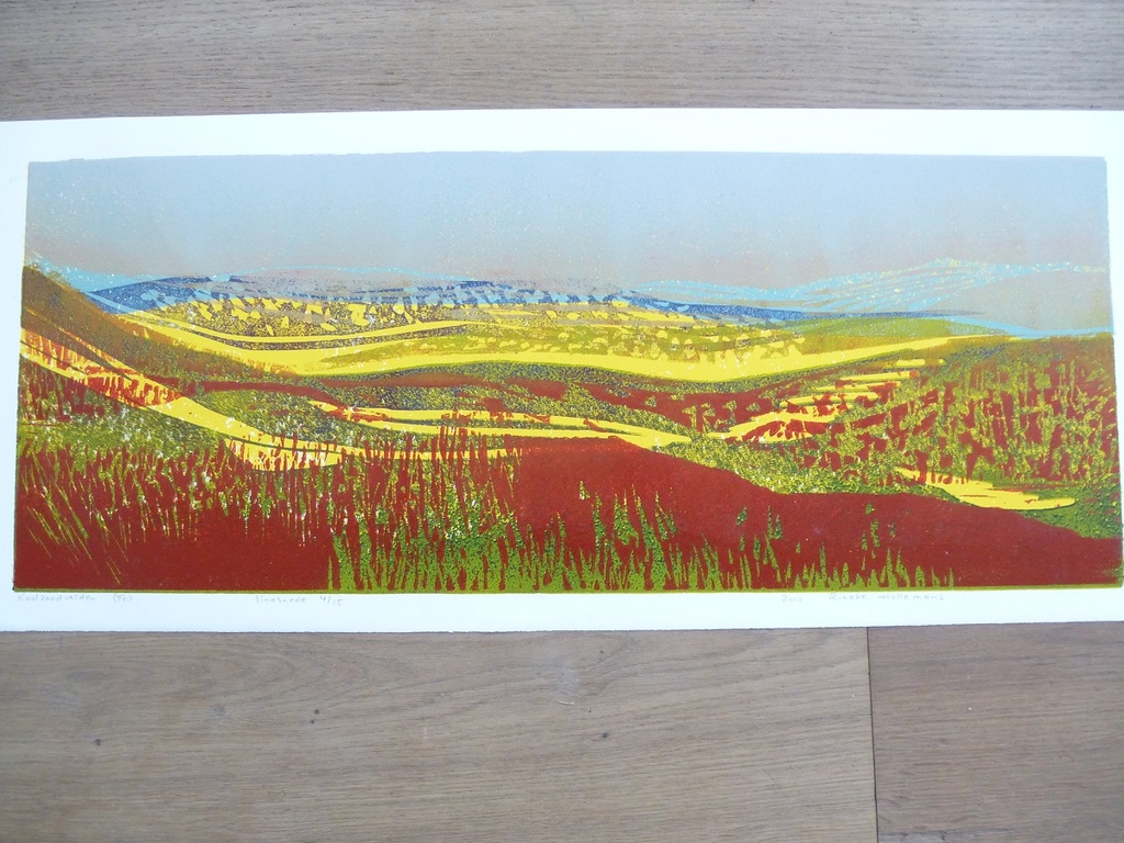 Rineke Hollemans, Linosnede: koolzaadvelden, 2010, handgesigneerd en genummerd. Oplage: 15 stuks kopen? Bied vanaf 75!