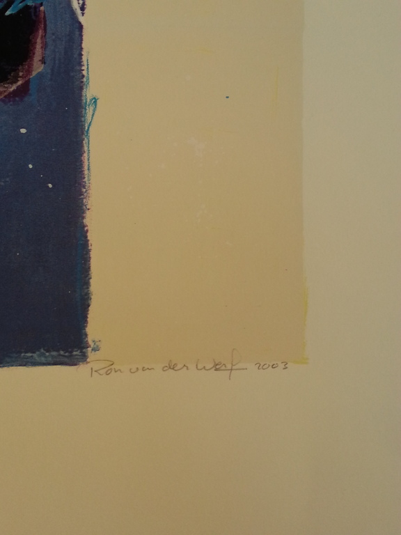 Ron van der Werf, zeefdruk, titel " Mysterie I "  kopen? Bied vanaf 50!