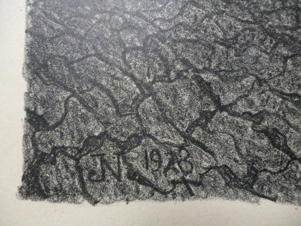 Jacob Nieweg - litho - Zeewering kopen? Bied vanaf 35!