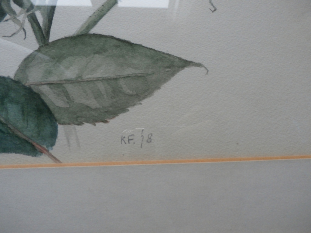 Kees Franse aquarel: Rozen - 1978 kopen? Bied vanaf 90!