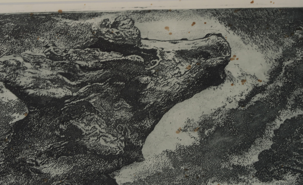 Willem van Leusden: Ets, Zwammen - Ingelijst kopen? Bied vanaf 1!