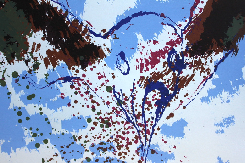 JOHANN VAN DEN NOORT, “Flying Gannet” 2006, zeefdruk. kopen? Bied vanaf 25!