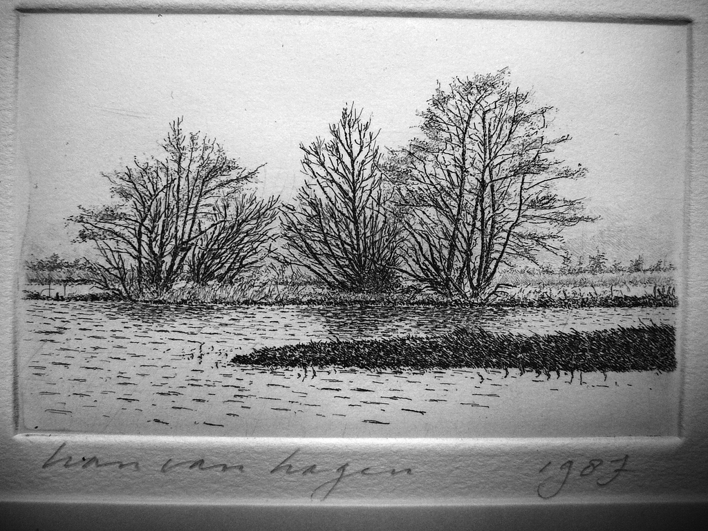 Han van Hagen: 'Uiterwaarden' -lijnets 1987- kopen? Bied vanaf 25!