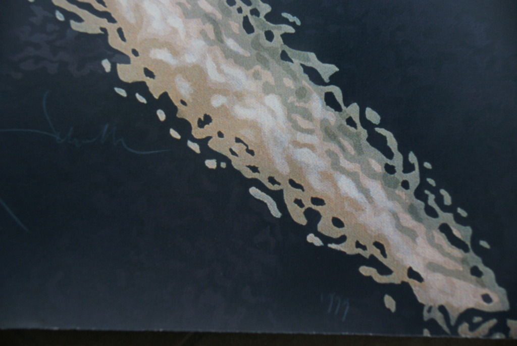 Rob Scholte - "Pin up"- zeefdruk, oplage: 75 ex. - jaar: 1999 kopen? Bied vanaf 495!