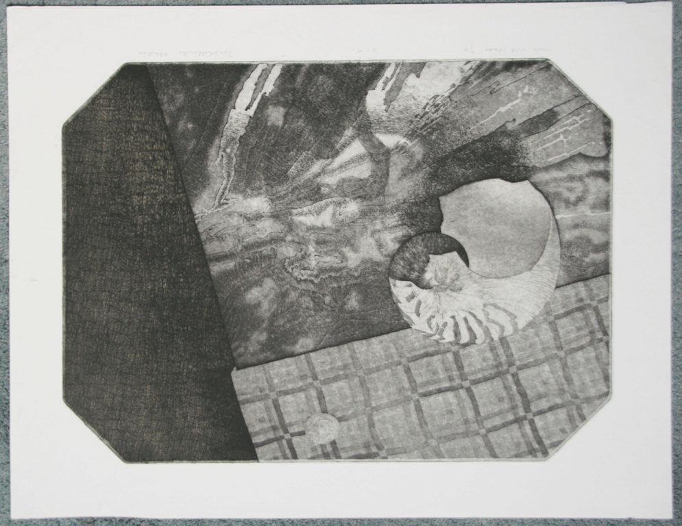 Henk van der Haar, ets uit 1974. titel: Verschillende stadia.  kopen? Bied vanaf 1!