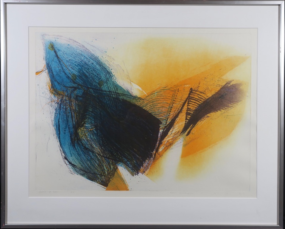 Hans Vredegoor: Ets en Aquatint, Battle of Eden - Ingelijst verkocht voor € 40!