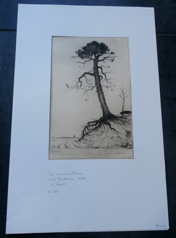 Dirk Baksteen - ets: Boom - 1956 kopen? Bied vanaf 80!