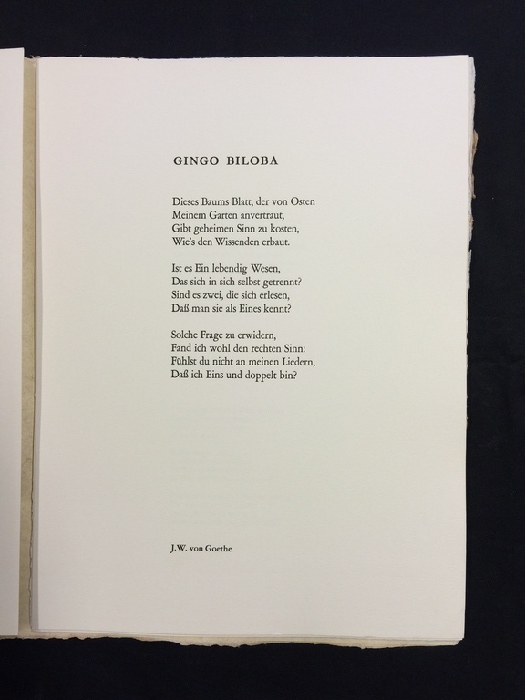 Armando: volledig portefolio met 4 ltho's en een gedicht van Goethe kopen? Bied vanaf 200!