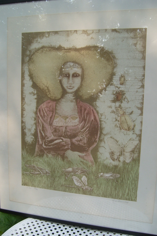 Georg Hadeler,handmatige steen,kleur litho, 13/34 uit '76 kopen? Bied vanaf 100!