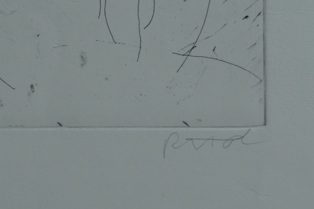 René van Tol - gesigneerde ets - 30 ex. kopen? Bied vanaf 1!