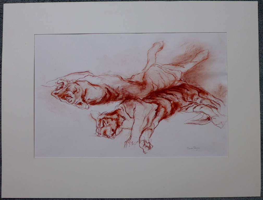 Ru van Rossem, krijttekening. verkocht voor € 350!